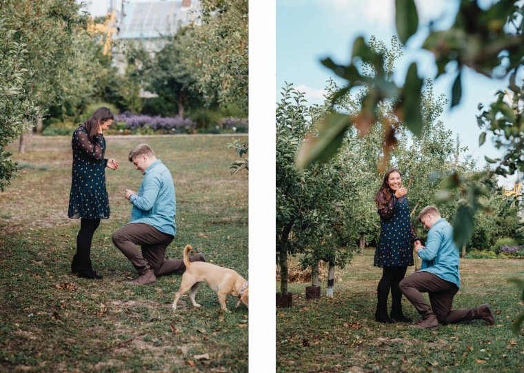 Paarfotos-Verlobung-Engangement-Shooting-Heilbronn-Botanischer-Garten-026-Verlobungsring-Antrag-Kniefall